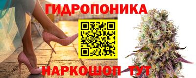 гидра Обь
