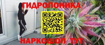 mdpv Первоуральск
