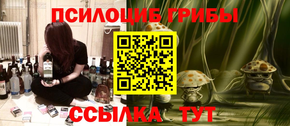 Галлюциногенные грибы Psilocybe Сибай