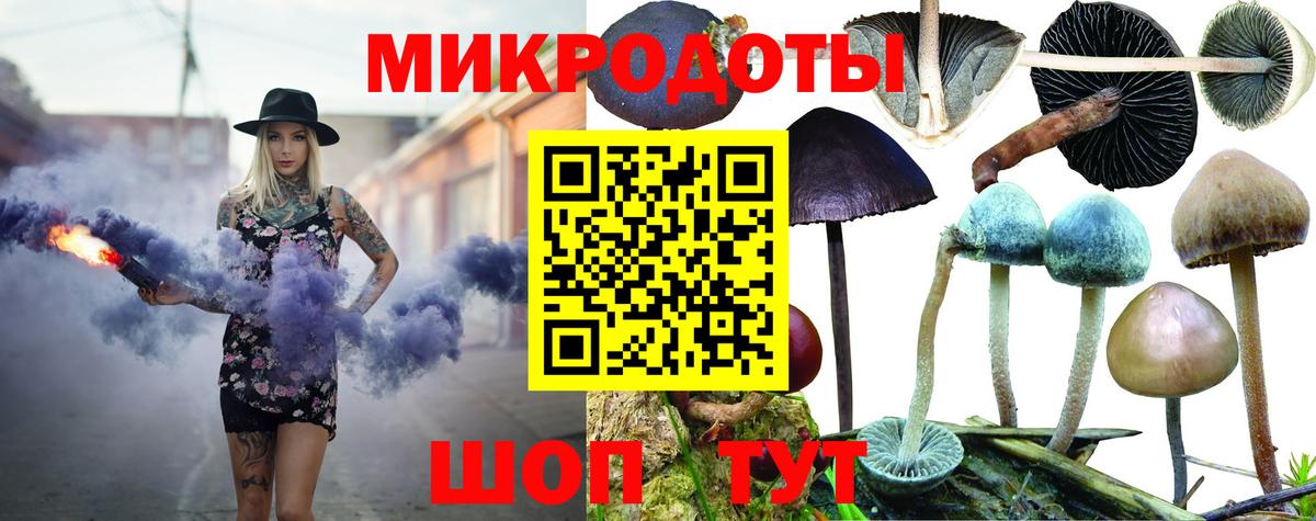 Галлюциногенные грибы Psilocybine cubensis  хочу наркоту  Сибай  Вход с VPN 